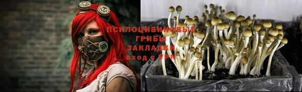 mix Костерёво