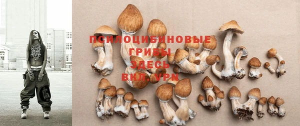 прущая мука Коряжма