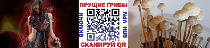 Галлюциногенные грибы Magic Shrooms  Купить  Константиновск 